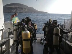 MS Scuba divers preparing for entering in water from boat deck / Socorro Islands, Mexico Stock Footage