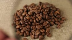 Coffee Magnifying Stock Footage