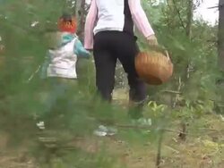 Picking Mushrooms Stock Footage
