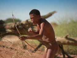 Pfeil_Bogen2 Stock Footage