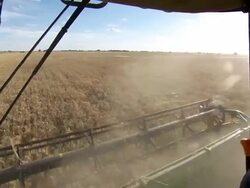 MS POV Shot of Blades of harvester / Colligen Creek Deniliquen, New South Wales, Australia Stock Footage