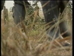 Bolivia - Mudslide, Chile - Tribute To The Victims Of Pinochet Ends In Clashes, Colombia - Kidnappings, Argentina - Presidential Inauguration And Economic Crisis, Solomon Islands - Cyclone, Pope In Spain, Slovakia And Croatia News Clip