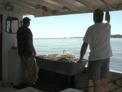 Fishermen on the Chesapeake Bay Stock Footage
