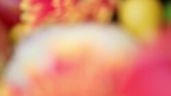 Cornucopia Stock Footage