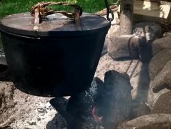 Campfire Cooking Stock Footage