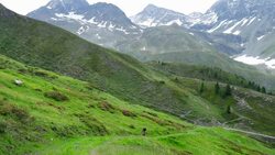 Mountain Biker Riding In Alpine Landscape (4K/UHD to HD) Stock Footage