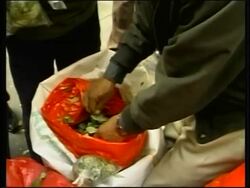 President nationalises oil, gas industry, rally News Clip