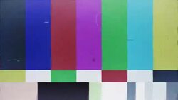 Colorful bars and broadcast terms flash on a test screen. Stock Footage