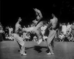 COLLEGE GYMNASTS News Clip