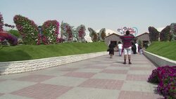 World's biggest indoor butterfly park opens Instructional Video