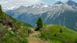 Mountain Biker Riding In Alpine Landscape (4K/UHD to HD) Stock Footage