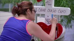 Shooting Survivor: 'Learn to Love Each Other' Instructional Video