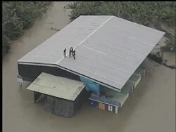 Helicopters rescue flood victims, stranded in high water in the Dominican Republic following Tropical Storm Olga. The storm is blamed for 25 deaths in the Caribbean News Clip