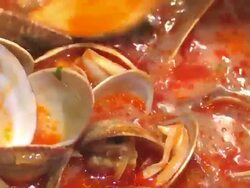 Clams Stock Footage