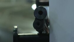 CLEAN : Enthusiasts flock to annual hunting showcase in S Africa News Clip