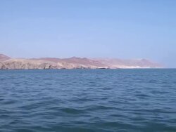 WS POV View from boat of Pisco bay / Paracas, Nazca, Peru Stock Footage