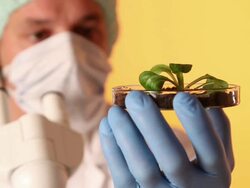 Genetic Research - Green Stock Footage