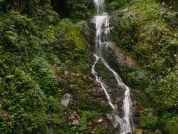 MS TD Shot of waterfall, Barehipani Falls at Simlipal National Park / Puri, Orissa, India Stock Footage
