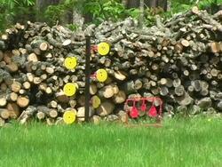 Target Practice 1 NTSC Stock Footage