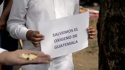 CLEAN : Peruvian actor weds a tree in a symbolic ceremony News Clip