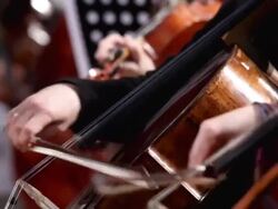 Violoncello players Stock Footage