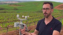 Winemaker improves vineyard using Internet of Things News Clip