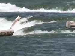 Niagara 3-22: HD 1080/60i Stock Footage