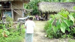 CLEAN: Malaria stalks Myanmar's poor as healthcare crumbles News Clip