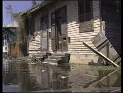 WRAP Aerials of city, evacuees asked to leave, animals in zoo News Clip