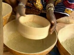 CU, PAN, Woman sifting millet grain, mid section, Niamey, Niger Stock Footage