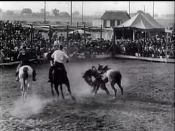 Californian Rodeo News Clip