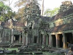 MS View of Temple of Ta Prohm in Angkor Wat / Angkor Wat, Cambodia Stock Footage