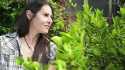 Woman Pruning Lemon Tree Stock Footage