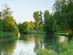 CRANE UP: River Stock Footage