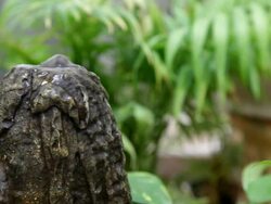 Water Volcano Stock Footage