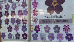 VOICED : Argentina Armenians keep culture alive News Clip