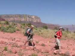 HD: Trekking in Grand Canyon Stock Footage