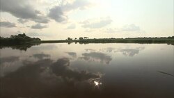 Wide shot travelling down Congo river on sunny day Stock Footage