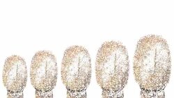 SELFIE : squad - dense (LOOP) Stock Footage