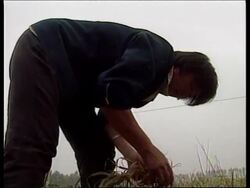 CHINA: DROUGHT HITS COUNTRY News Clip