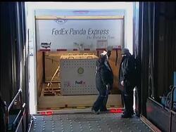 Washington bids farwell to its beloved giant panda, Tai Shan, loaded into a cargo jet with another panda bound for China to join a breeding program. The AP''s Lee Powell says the departure is breaking hearts of panda fans. Instructional Video