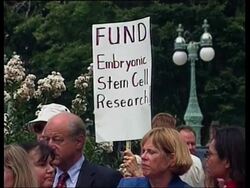 Politicians in US debate federal funding of stem-cell research News Clip