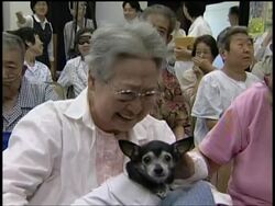 Disabled dog visits elderly patients News Clip