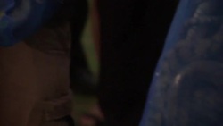 More than 2,000 snakes returned after smugglers intercepted in Hong Kong Instructional Video