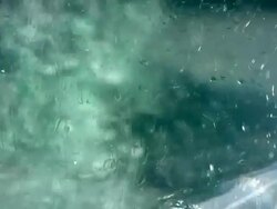 Design in the Water Stock Footage