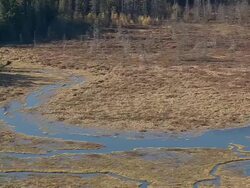 MS AERIAL DS Small river floaing through Adirondacks park / New York, United States Stock Footage
