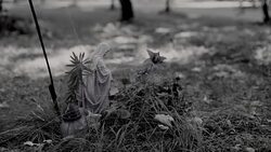 Grave, Statue od Mary, Cemetery Stock Footage
