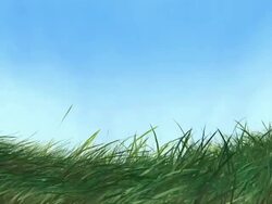 Affectionate Wind HD Stock Footage