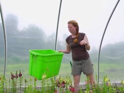 MS SLO MO TS Shot of Young woman carries picked flowers in green/hoop house / Chatham, Michigan, United States Stock Footage