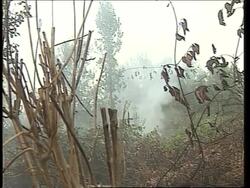 Deforestation across Kalimantan where fires are raging News Clip